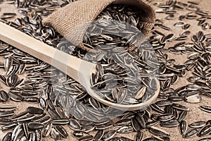 Sunflower seeds - Helianthus annuus