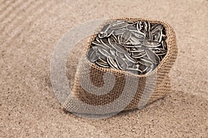 Sunflower seeds - Helianthus annuus