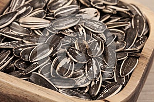 Sunflower seeds - Helianthus annuus