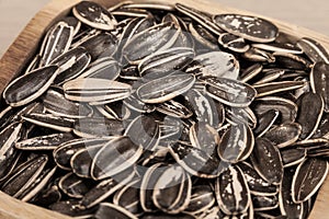 Sunflower seeds - Helianthus annuus