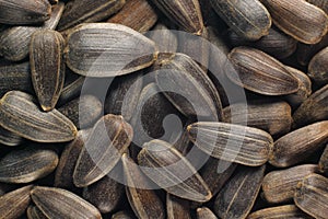 Sunflower seeds (with hull)