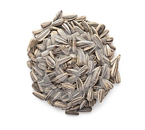 Sunflower seeds isolated on white background. Top view