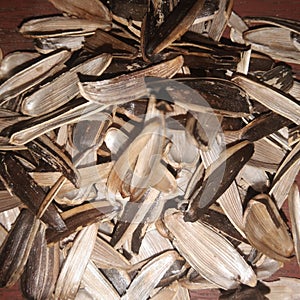 Sunflower seeds, kwaci.