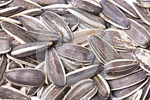 Sunflower Seeds.