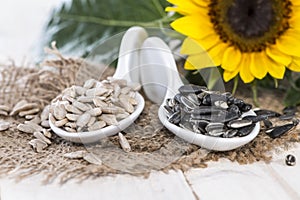 Sunflower Seeds (Macro Shot)