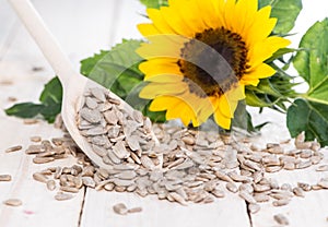 Sunflower Seeds (Macro Shot)