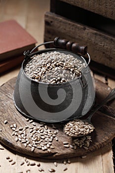 Sunflower seeds in measuring cup on the wooden background