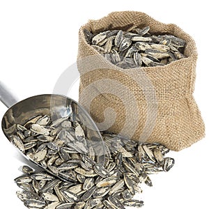 Sunflower seeds with measuring scoop photo