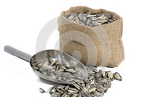 Sunflower seeds with measuring scoop photo