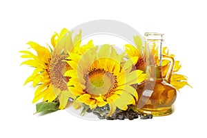 Sunflower, seeds and oil isolated on background
