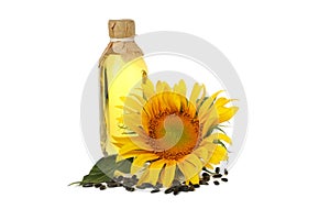 Sunflower, seeds and oil isolated on white