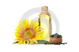 Sunflower, seeds and oil isolated on white