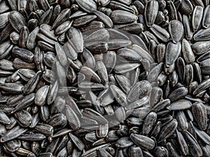 Sunflower seeds pattern wallpaper - sunflower seeds macro banner background - kitchen wallpaper