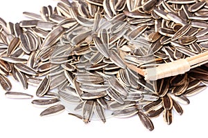 Sunflower seeds pile