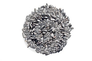 Sunflower seeds pile