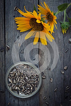 Sunflower seeds on rustic wood table