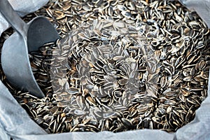 Sunflower seeds in a sack with a scoop