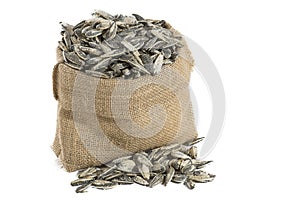 Sunflower seeds in sack photo