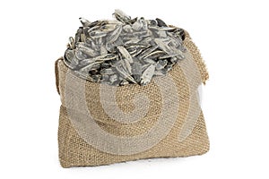 Sunflower seeds in sack photo