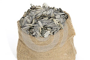 Sunflower seeds in sack photo