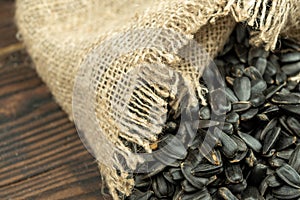 Sunflower seeds are scattered on homespun fabric with a rough texture. close-up, selective focus