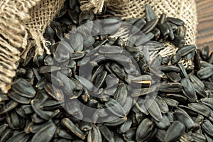 Sunflower seeds are scattered on homespun fabric with a rough texture. close-up, selective focus