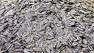 Sunflower seeds, siyah cekirdek photo