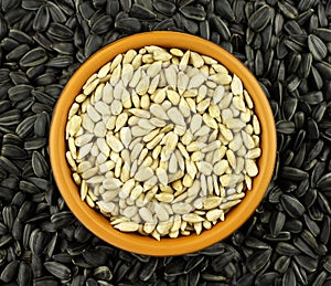 Sunflower seeds in the small bowl on the wooden background