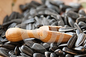 Sunflower seeds and spoon