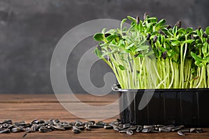 Sunflower seeds sprouts for a healthy diet nutrition. Microgreens.