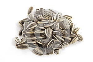 Sunflower seeds on white