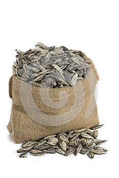 Sunflower seeds on white background photo