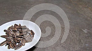 Sunflower Seeds on a White Plate with copy space area.