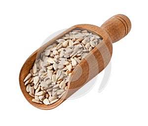 Sunflower Seeds in a Wooden Scoop