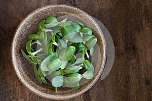 Sunflower Shoots in a Bowl