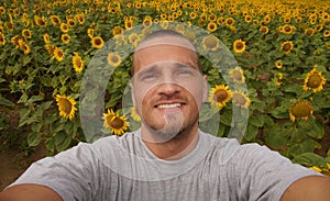 Sunflower snapshot photo