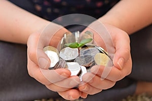 Sunflower sprout in hands with Olympic 50p coins