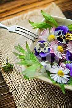 Sunflower sprouts, cucumber and edible flowers salad on wooden bowl