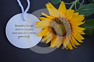 Sunflower with text massage - Beautiful things start to happen once you start loving yourself.