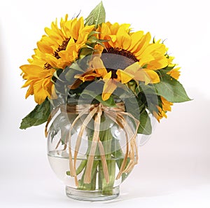 Sunflower in vase