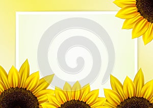 Sunflower vector background with frame