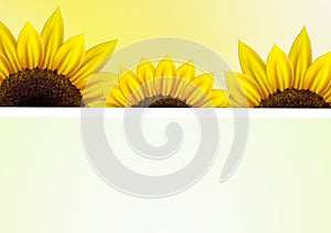 Sunflower vector background with frame