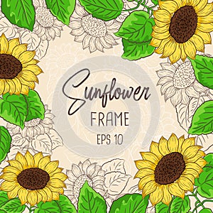 Sunflower vector with green leaves frame