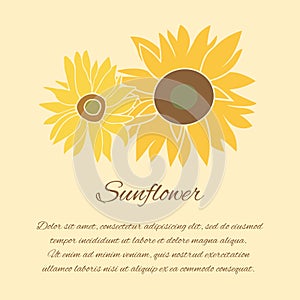 Sunflower vector greeting card on the bright