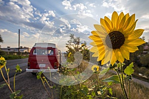 Sunflower and Vw Bus