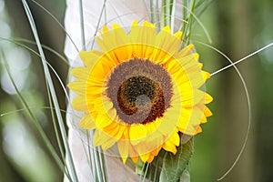 Sunflower on the wedding