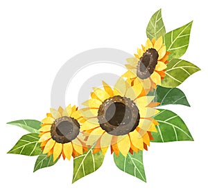 Sunflower wedding inwitation clipart. Watercolor sunflower bouquet isolated on white.