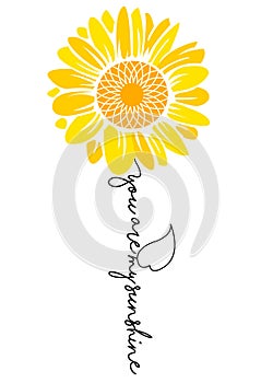 Sunflower you are my sunshine photo