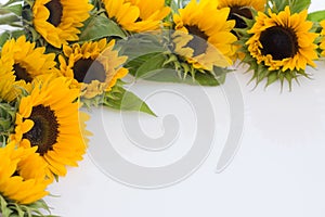 Sunflowers