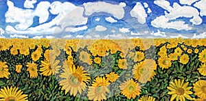 Sunflowers